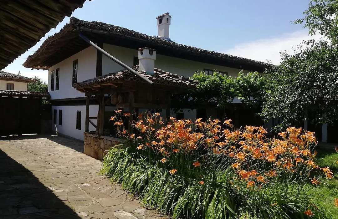 Terra House-1
