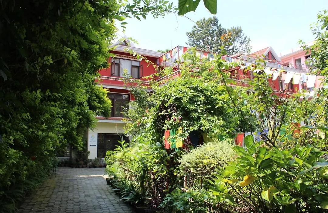 Rokpa Guest House-1