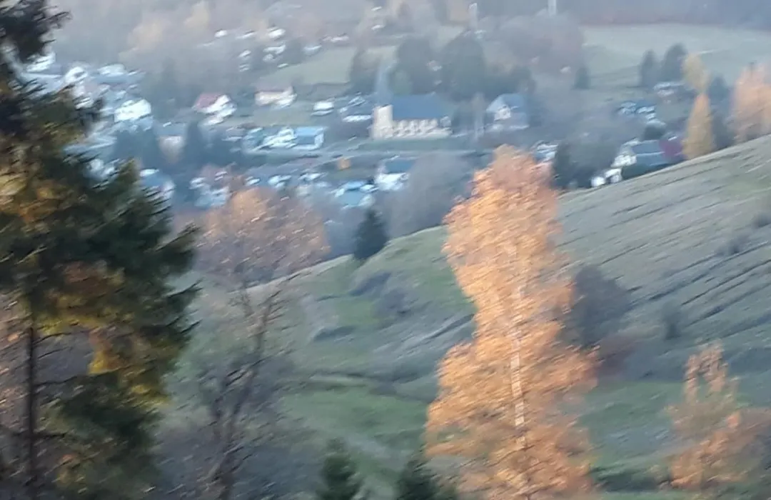 Pension Waldidyll-1