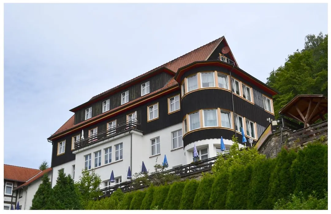 Pension & Restaurant " Zum Harzer Jodlermeister"-1