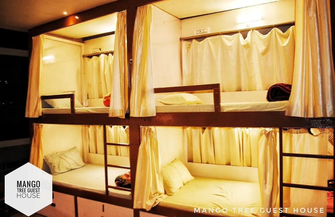 Mango Tree Guest House-1