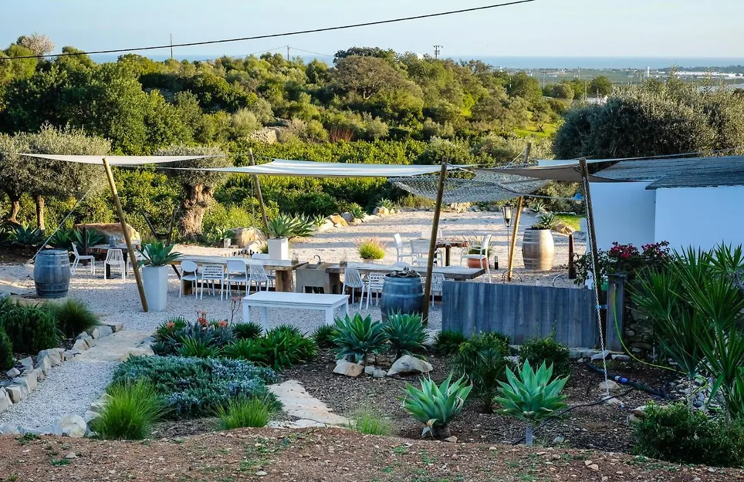 Casa Verdazul-1