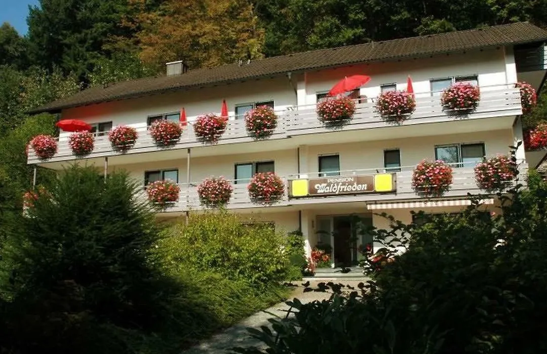 Pension Waldfrieden-1
