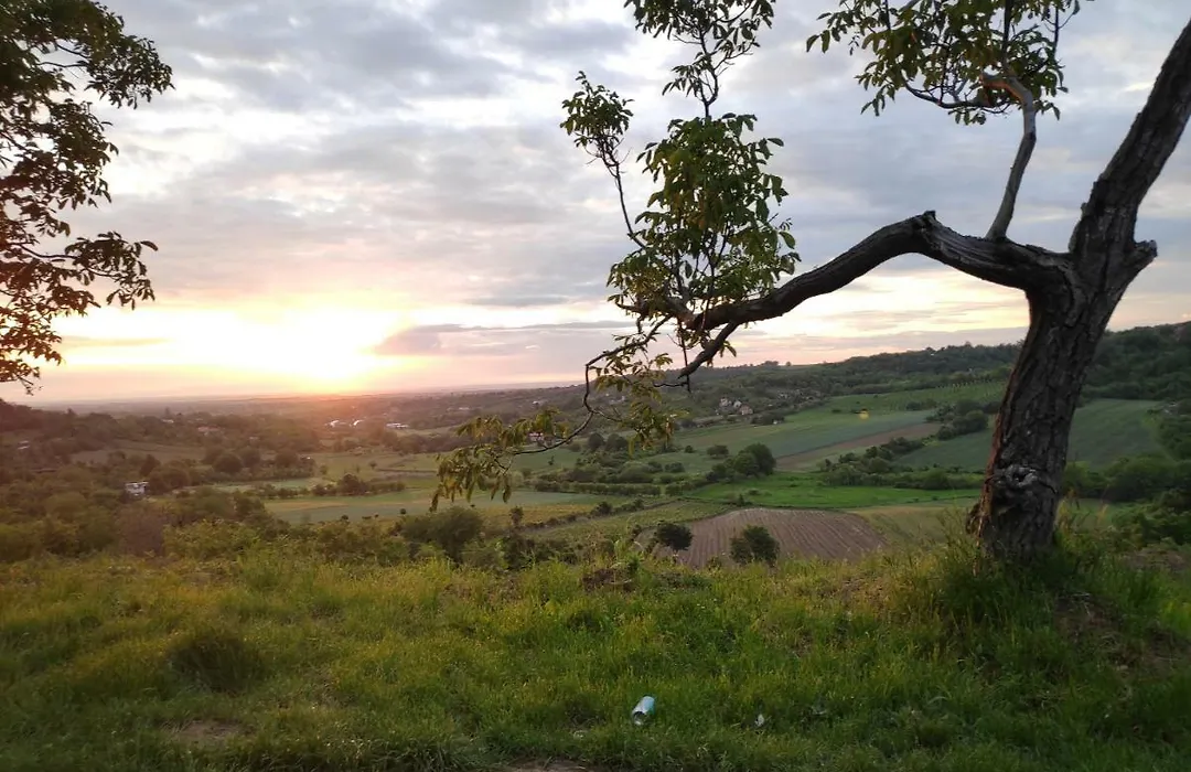 Just Nature-1