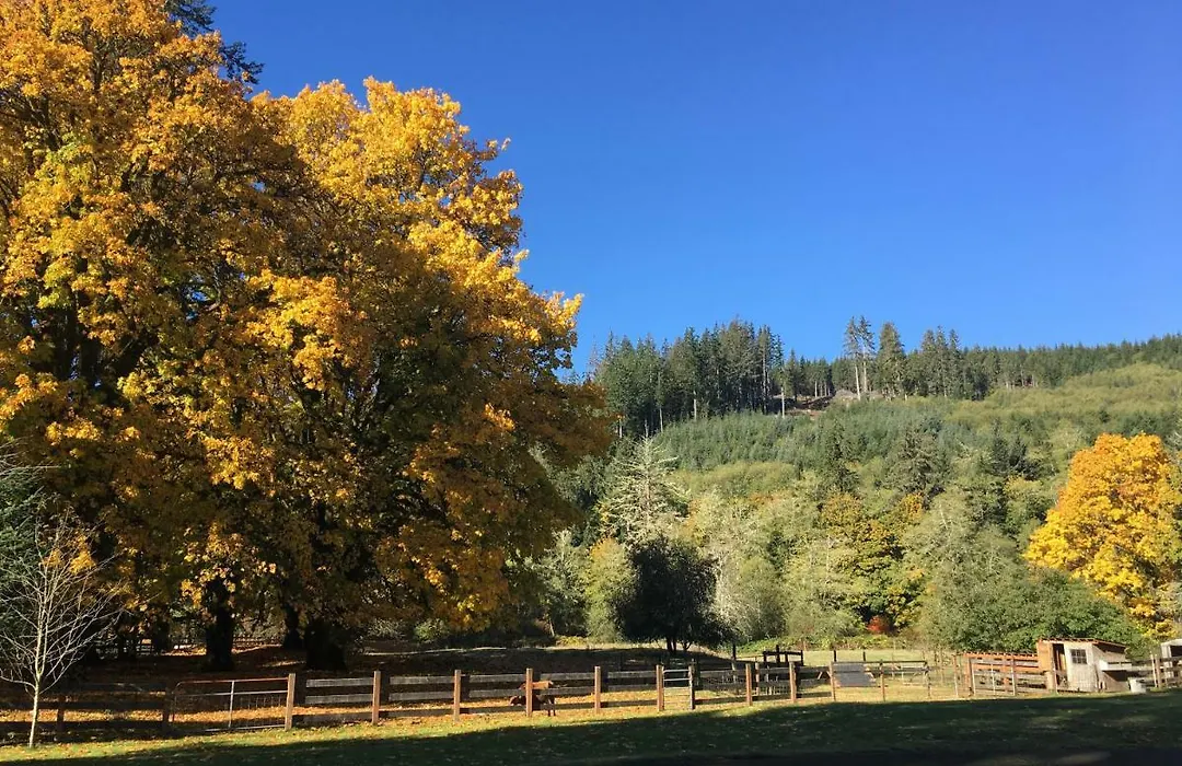 The Cabins At Beaver Creek-1