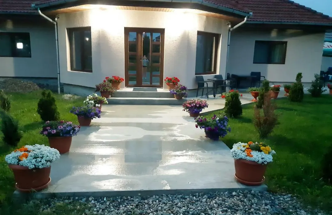 Casa Alin-1
