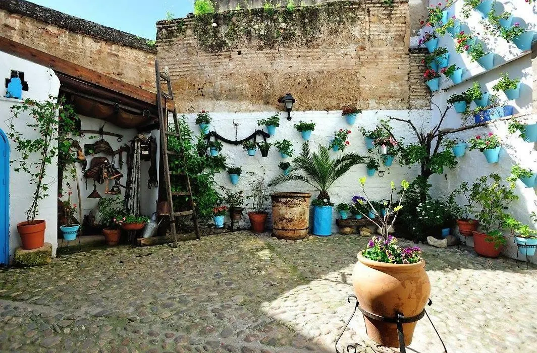 De Patios-1