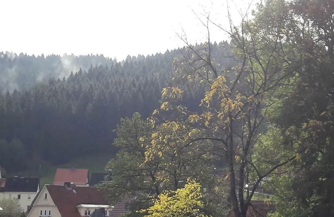 Villa Pusteblume-1
