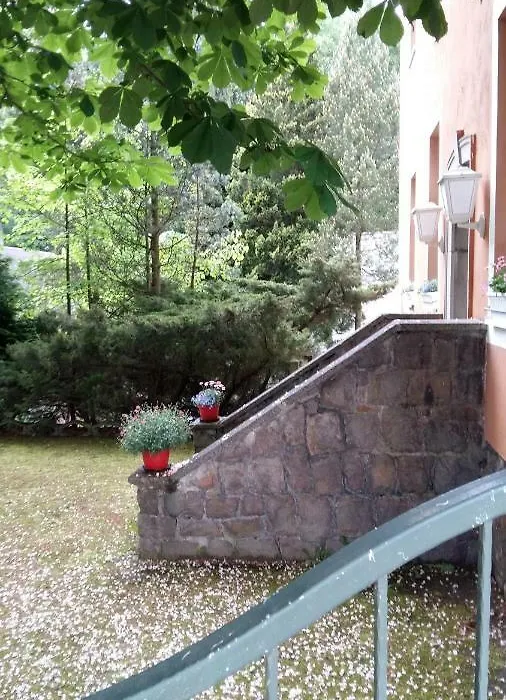 Pension am Tharandter Wald-1