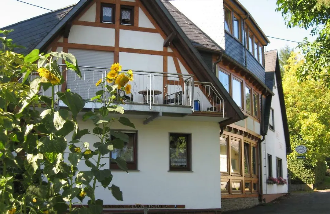 Pension Haus Ursula-1