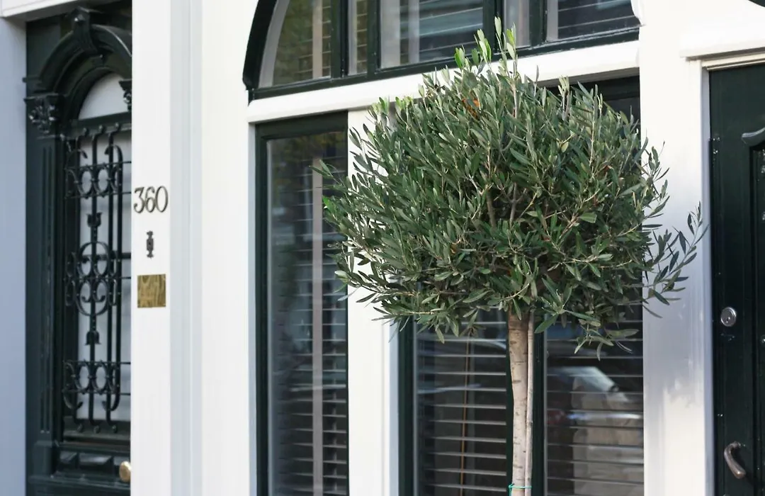 Villa360-1