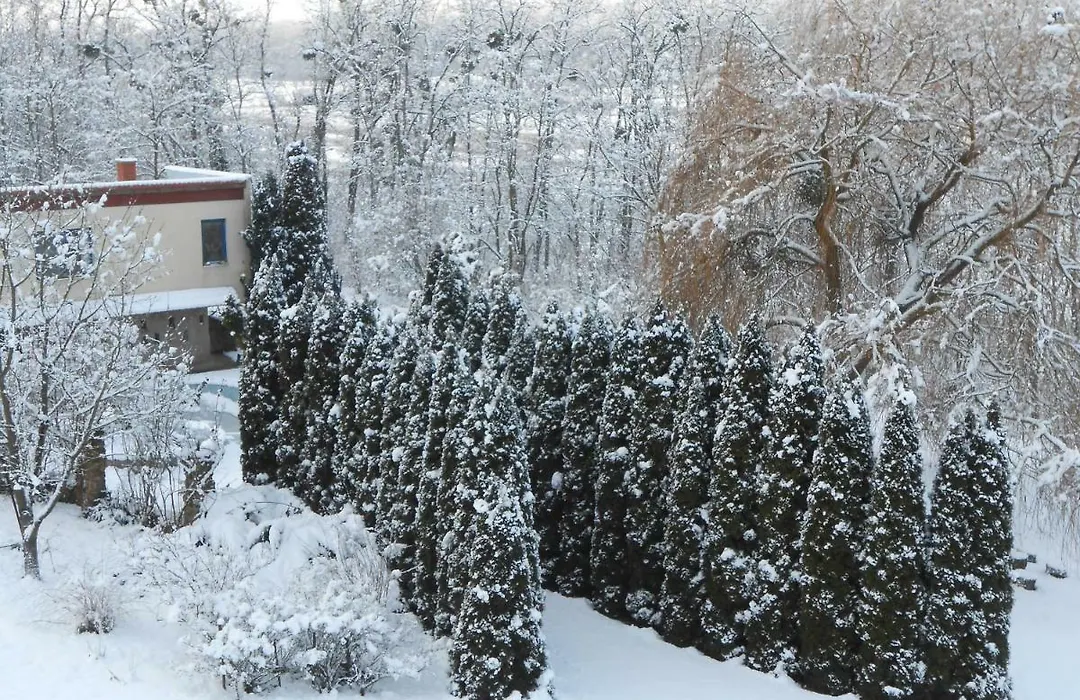 Rosehill Cottage-1