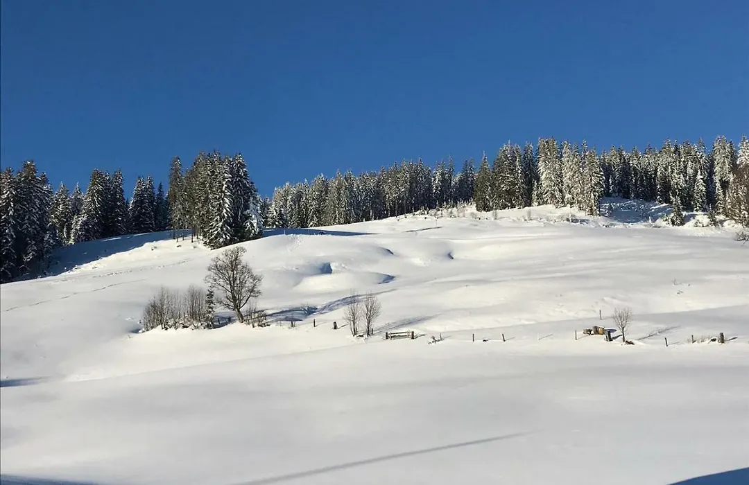 Bergpension Zinting-1