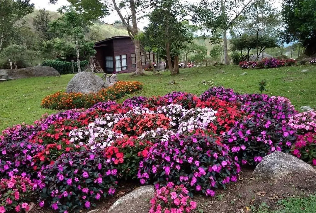 Spring Garden-1