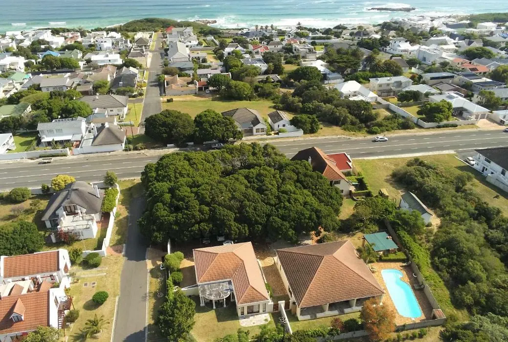 Milkwood Lodge-1