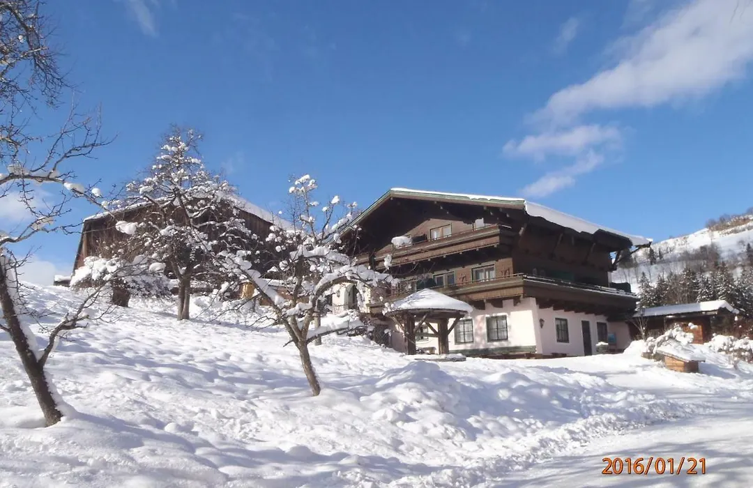 Pension Schachernhof-1