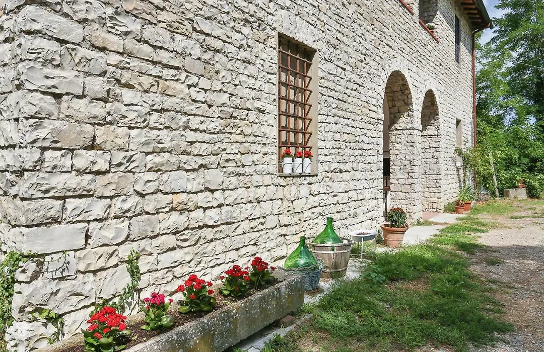 Mondo Pazzo-1