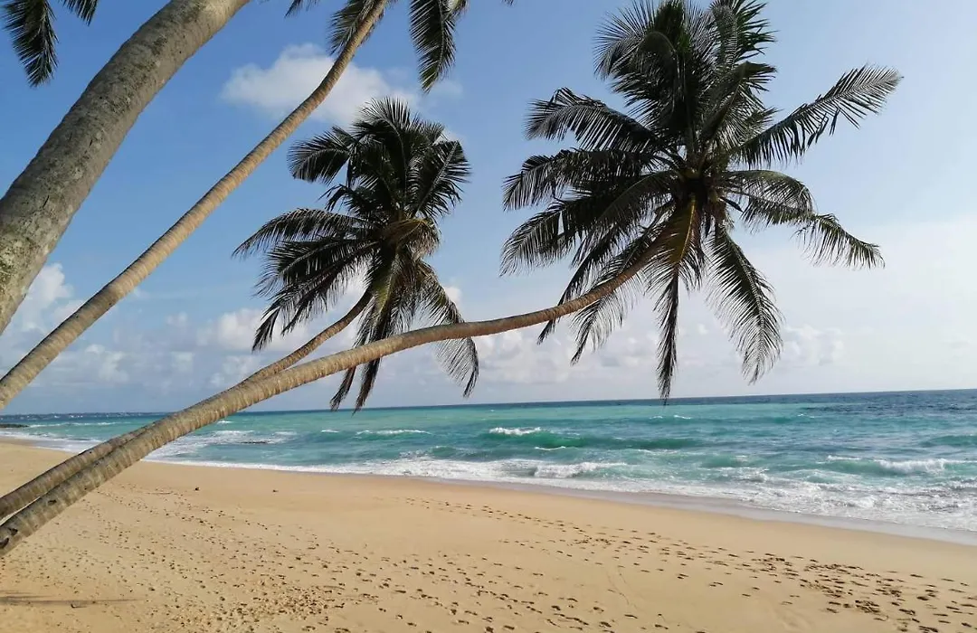Akurala Beach Park-1