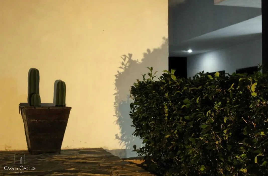 Casa de Cactus-1