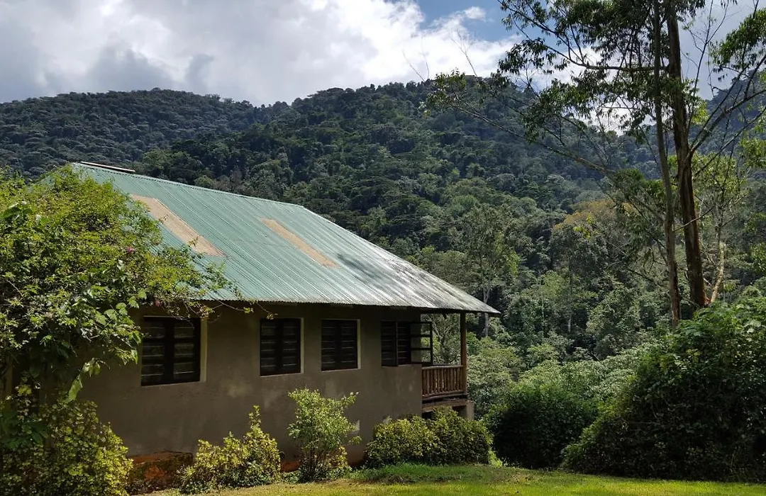 Bwindi Guest House-1