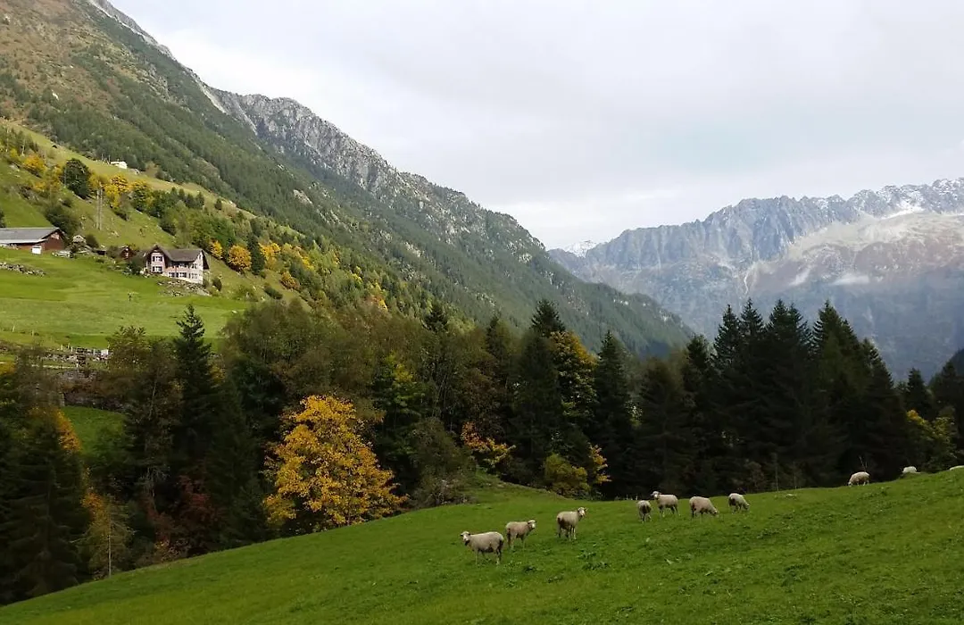 Gästehaus Alpenglühn-1