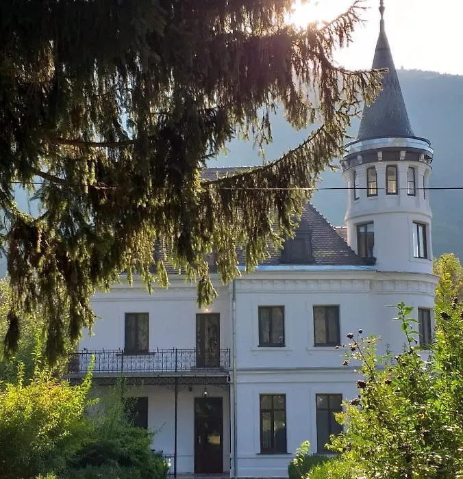 Vila Micul Castel-1