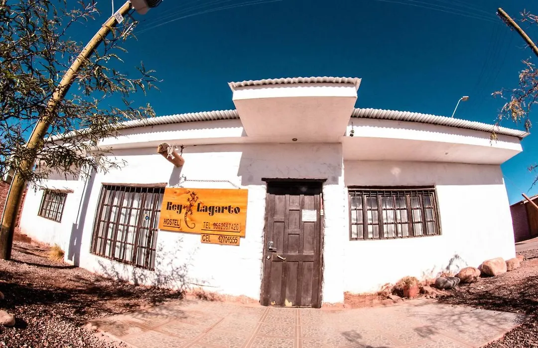 Rey Lagarto Hostel-1