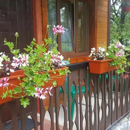 Садиба Гуцулка Ксеня-3