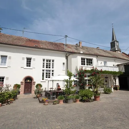 Bio-Weingut, Gästehaus und Kräuterhof-3