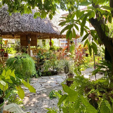 Hostal Casa Huasteca-3