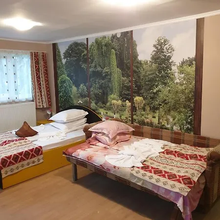 Vila Muntii Bucegi & Spa-2