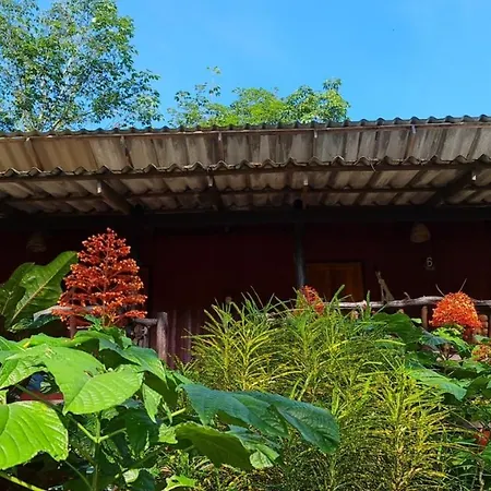 Wooden Hut Koh Kood-2