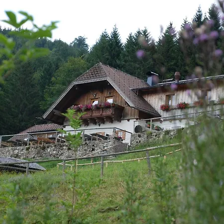 Ferienwohnung Hochsteinalm-3