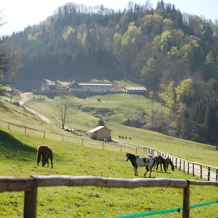 Ferienwohnung Hochsteinalm-2