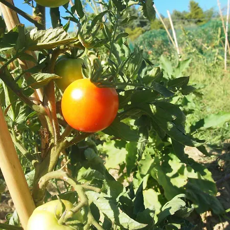Agriturismo Ardizio 43-2