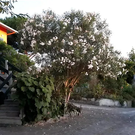 Casa Gwendoline - Albergue / Hostel / Al - Caminho Da Costa-2