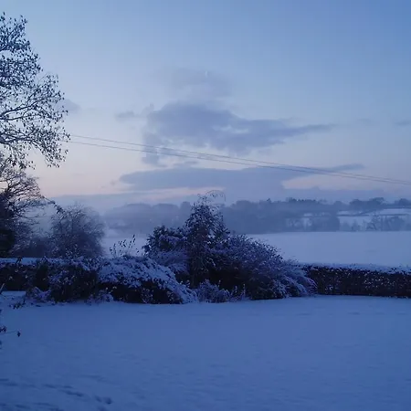 Bach Y Graig-3