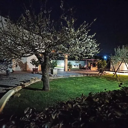 La corte di Emma e Ale-3