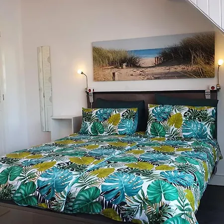 Guesthouse Zandvoort-3
