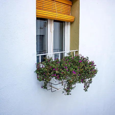 Blue Sardine Hostal Boutique Altea (Adults Only)-2