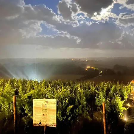 Pension Bella Vista - Winzerhof Golk-2