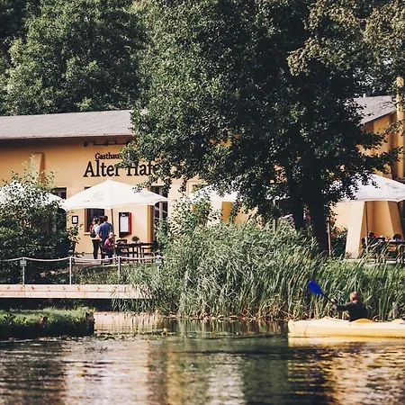 Gasthaus Und Pension Alter Hafen-2
