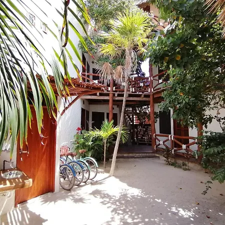 Casa Mech-2