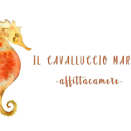 Il Cavalluccio Marino-2