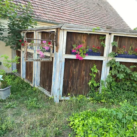 Ostsee Radlerpension Peitz-3