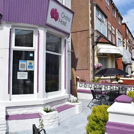 Myroomz Orchid Hotel (Adults Only)-3