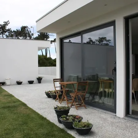 Amare Studio-2