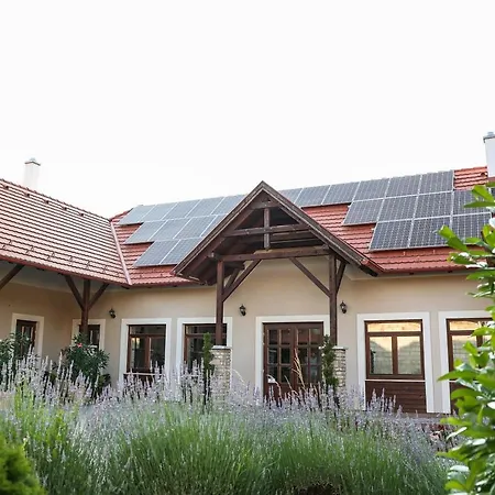 Szarvas Apartman - Jakuzzis Vendeghaz Many-2