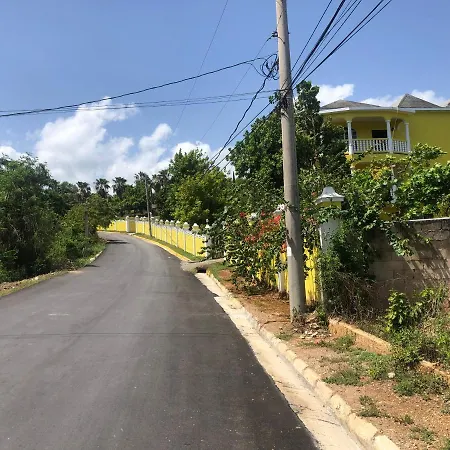 Pura Vida Jamaica-3