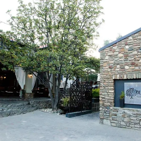 Olive Grove Guesthouse-3